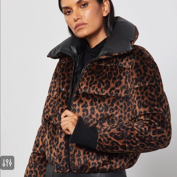 bcbg leopard coat